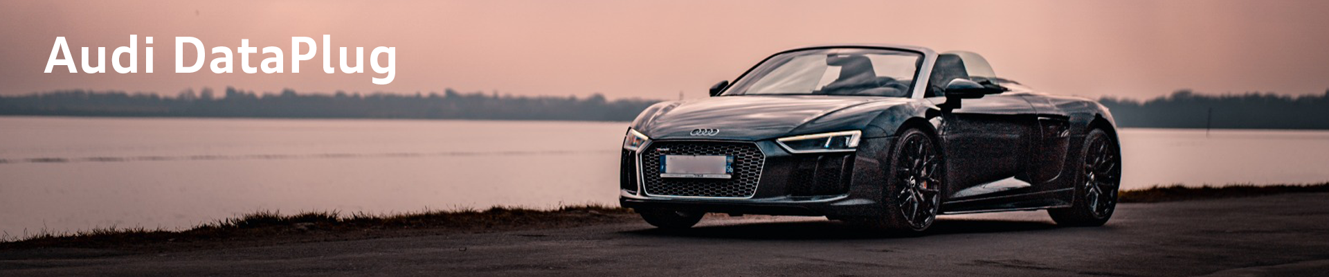 Audi r8 v10 performance
