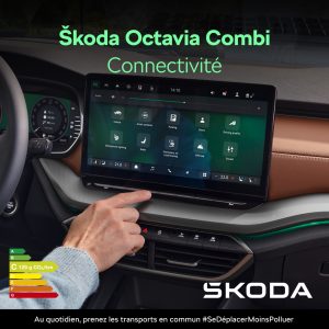 FLRT_TEADS_B2C_OCTAVIA_1080x1080_3