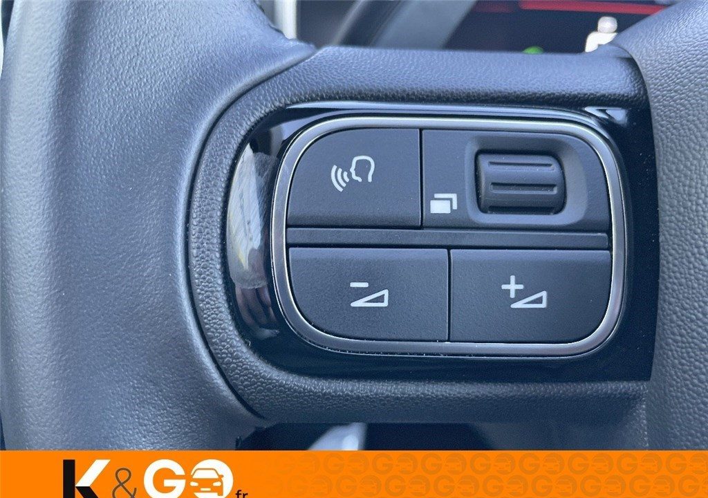 CITROEN C5 AIRCROSS BLUEHDI 130 S&S EAT8