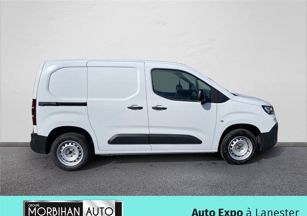 FIAT DOBLO FOURGON M 650 KG BLUEHDI 100 S&S BVM6