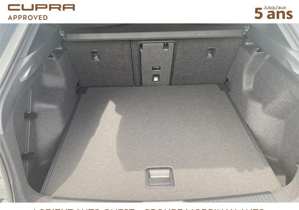CUPRA TAVASCAN 286 CH