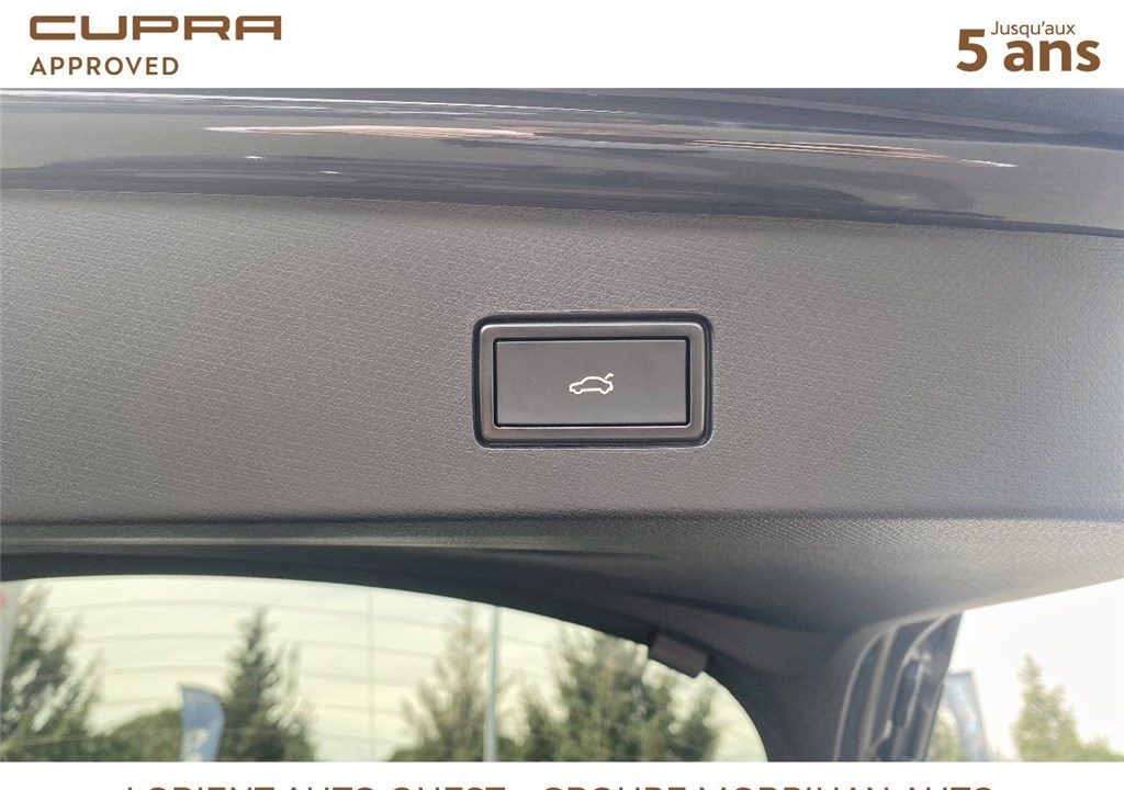 CUPRA TAVASCAN 286 CH