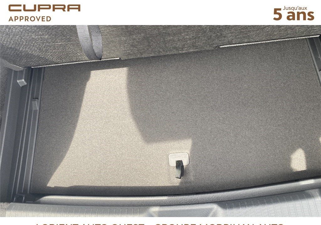 CUPRA TAVASCAN 286 CH
