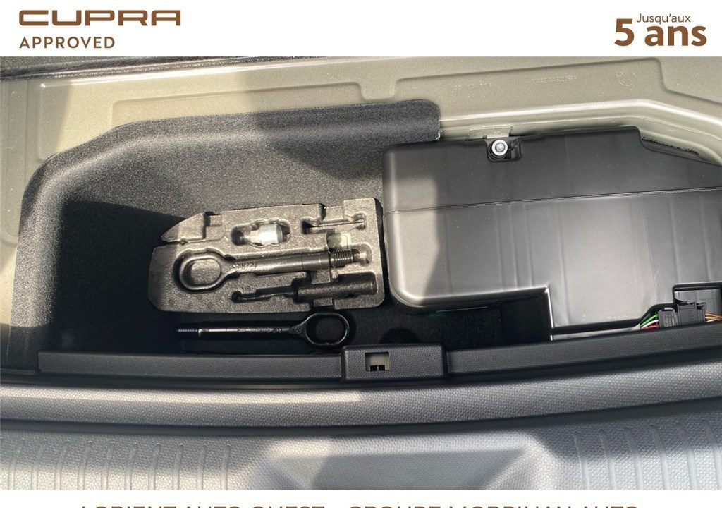 CUPRA TAVASCAN 286 CH