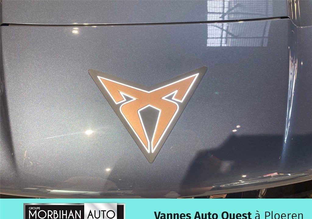 CUPRA TAVASCAN 286 CH