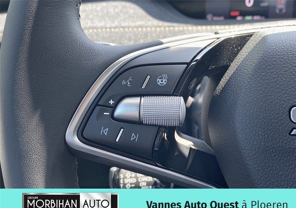 SKODA ELROQ 204 CH BATTERIE 60