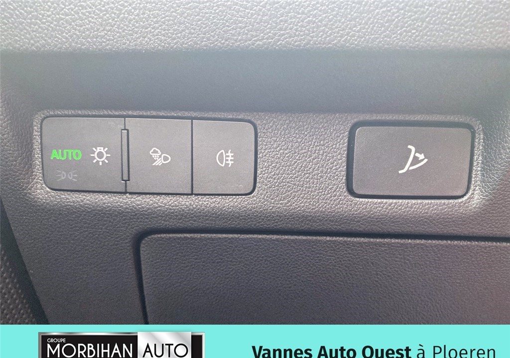 SKODA ELROQ 286 CH BATTERIE 85