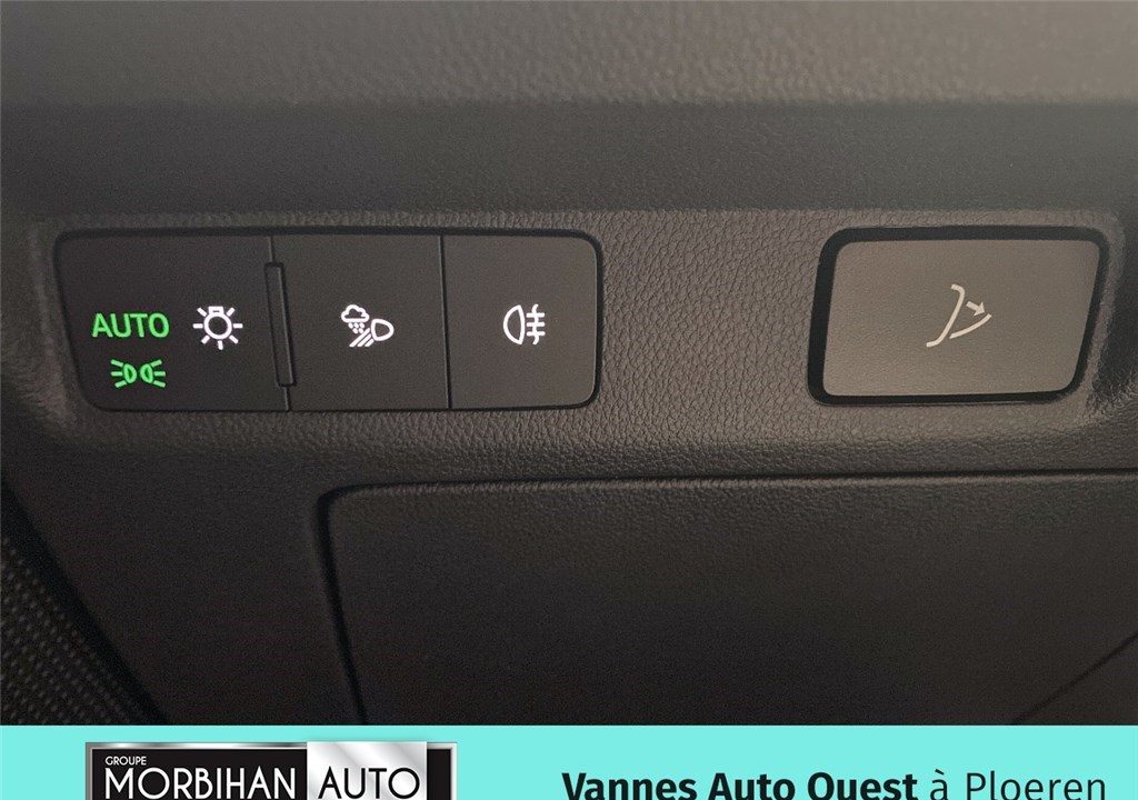 SKODA ELROQ 286 CH BATTERIE 85