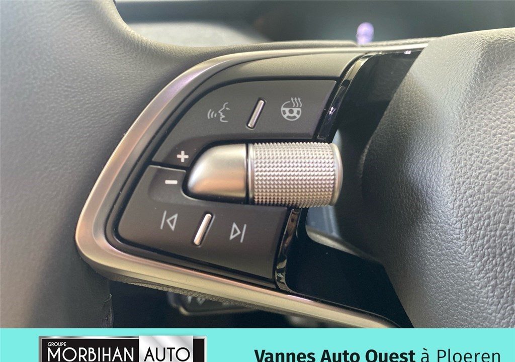 SKODA ELROQ 286 CH BATTERIE 85