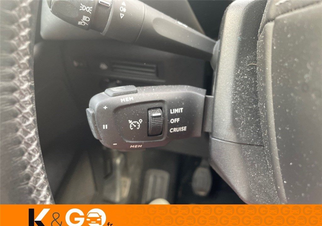 DS DS 3 CROSSBACK DS3 Crossback BlueHDi 100 BVM6