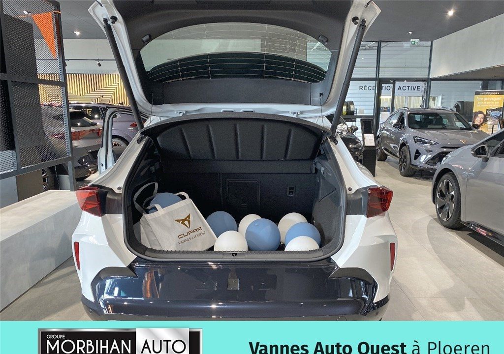 CUPRA FORMENTOR 2.0 TDI 150 CH DSG7