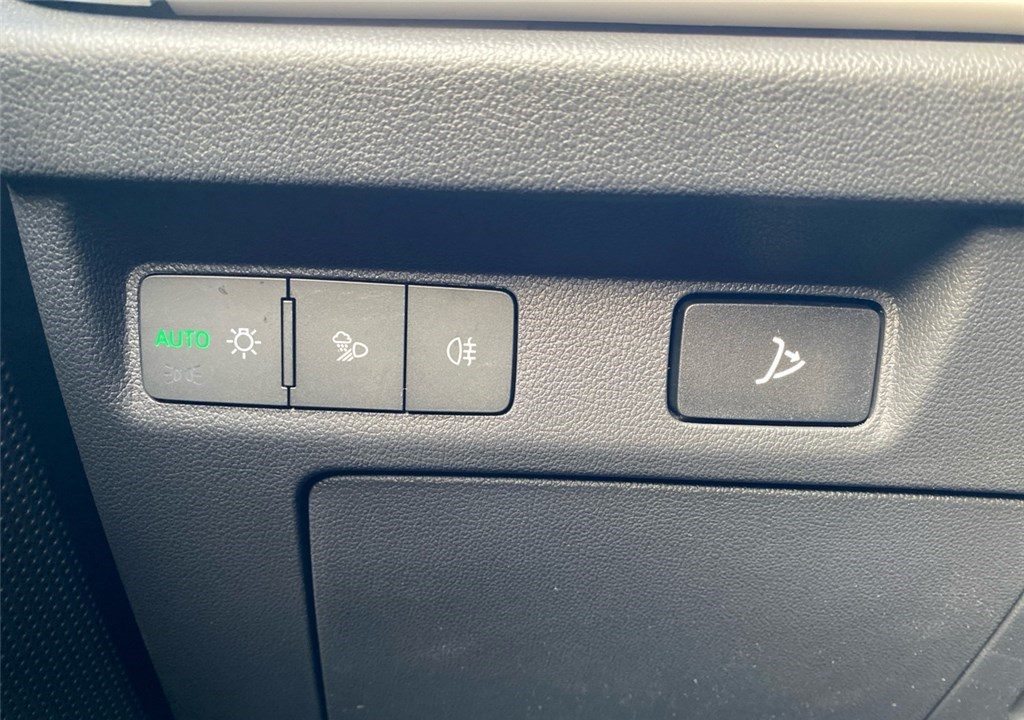 SKODA ELROQ 286 CH BATTERIE 85