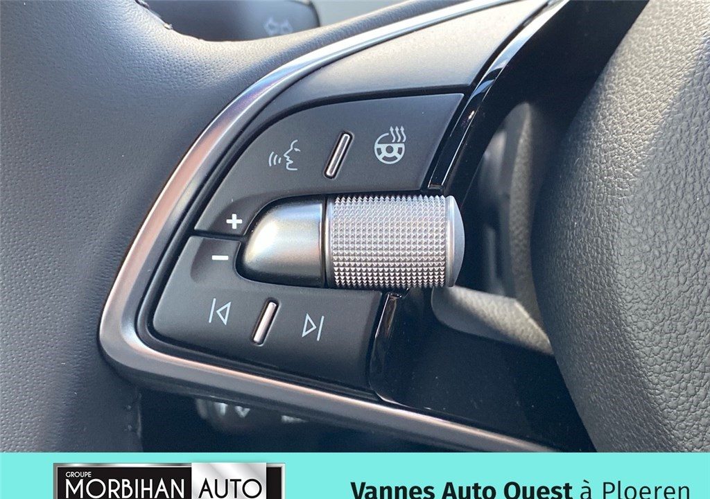 SKODA ELROQ 204 CH BATTERIE 60